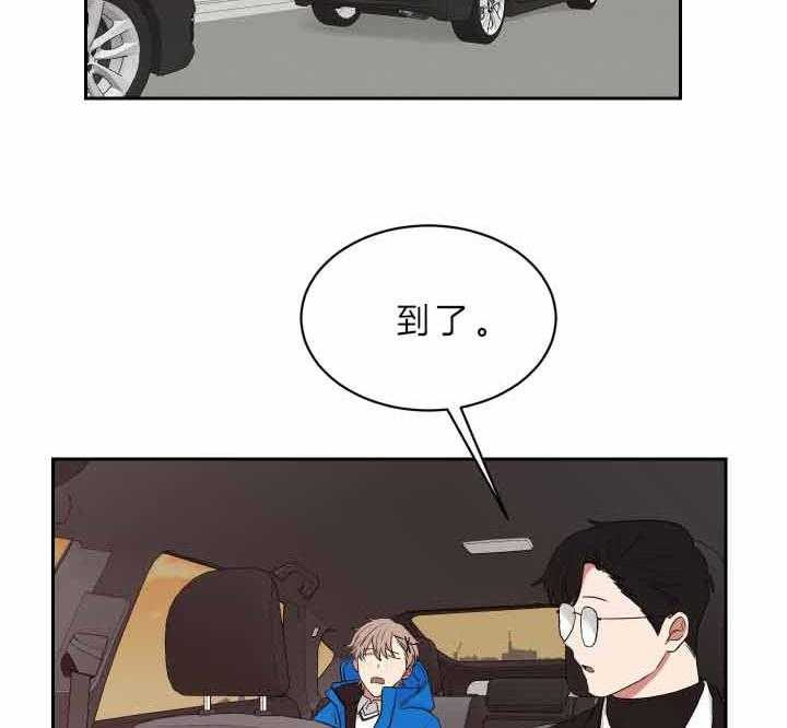 《我被大佬圈养了》第61话 危险的地方 第2页