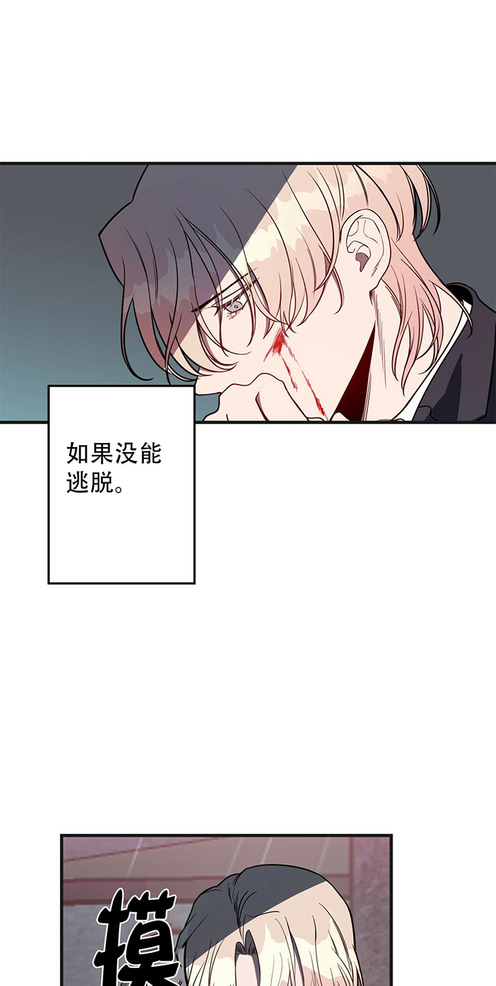 《不夜城（第一季）》第10话 10_第十话逃生 第14页