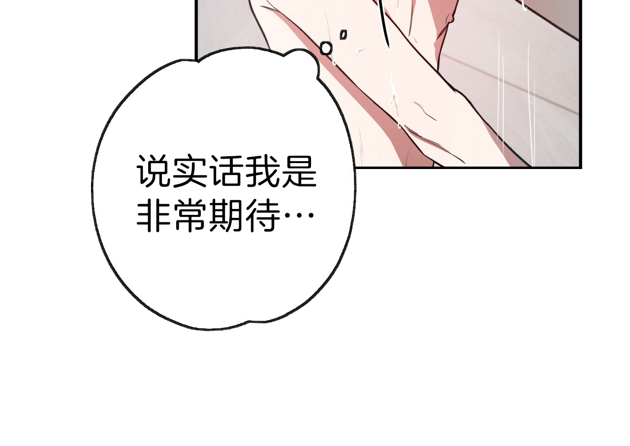 《不夜城（第一季）》第37话 洗白等着 第29页