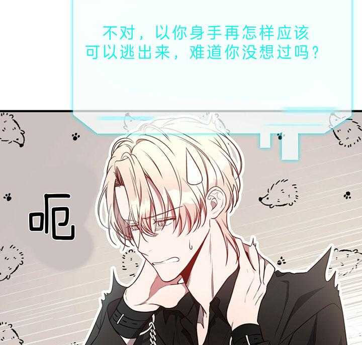《不夜城（第一季）》第70话 为什么不逃 第26页