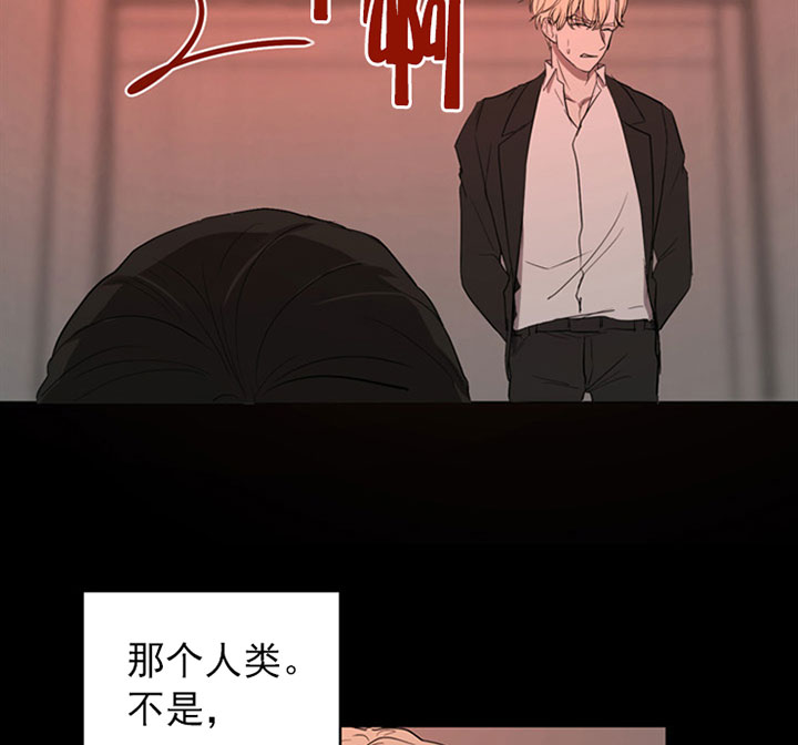《当卧底泡上杀手大佬》第14话 14_第十四话疯魔 第3页