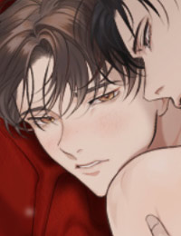 《神圣的夜晚》漫画封面图 - tl漫画