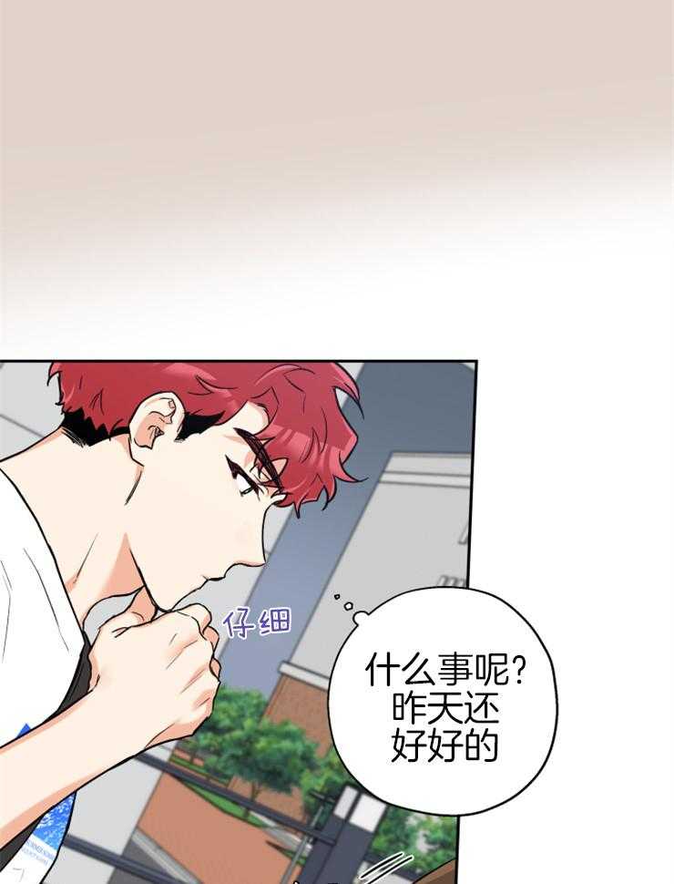 《蠢狼抱枕饲养录》第65话 修罗场 第19页