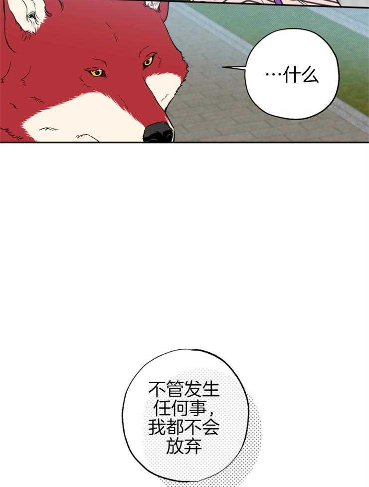 《蠢狼抱枕饲养录》第61话 不会放弃 第15页