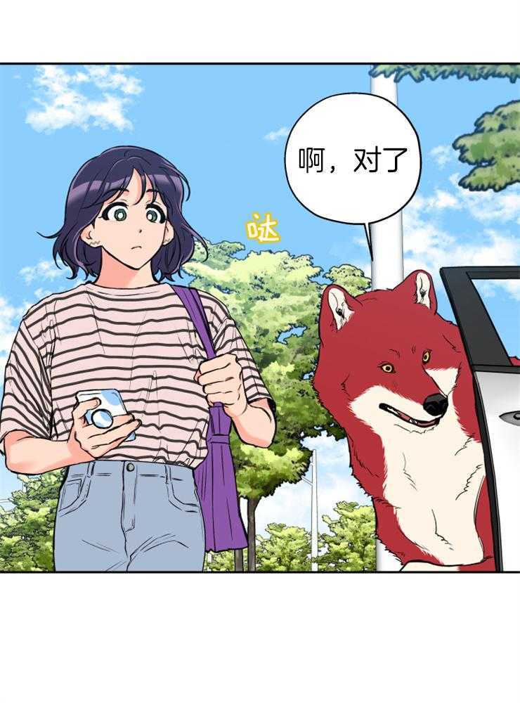 《蠢狼抱枕饲养录》第61话 不会放弃 第5页