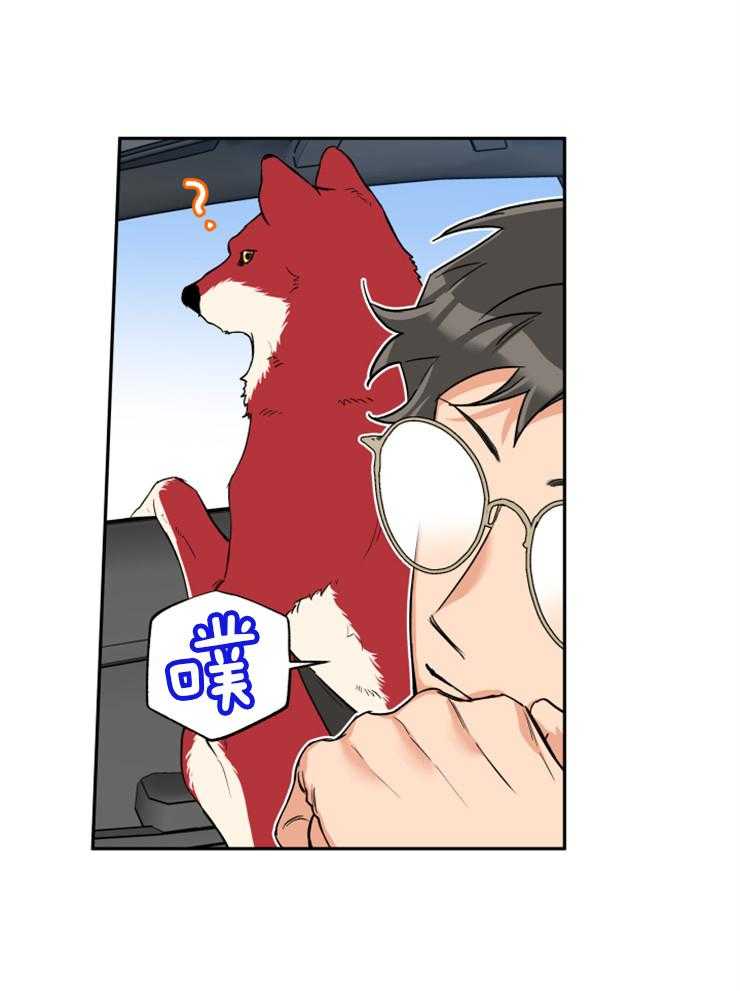 《蠢狼抱枕饲养录》第60话 真像只狗 第5页