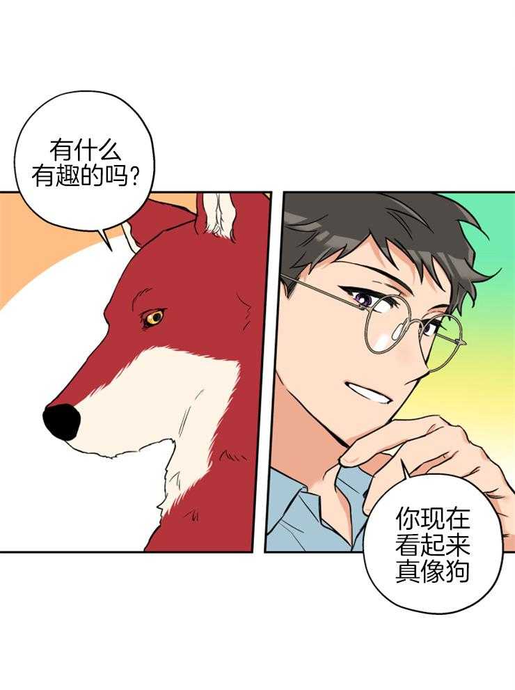 《蠢狼抱枕饲养录》第60话 真像只狗 第6页