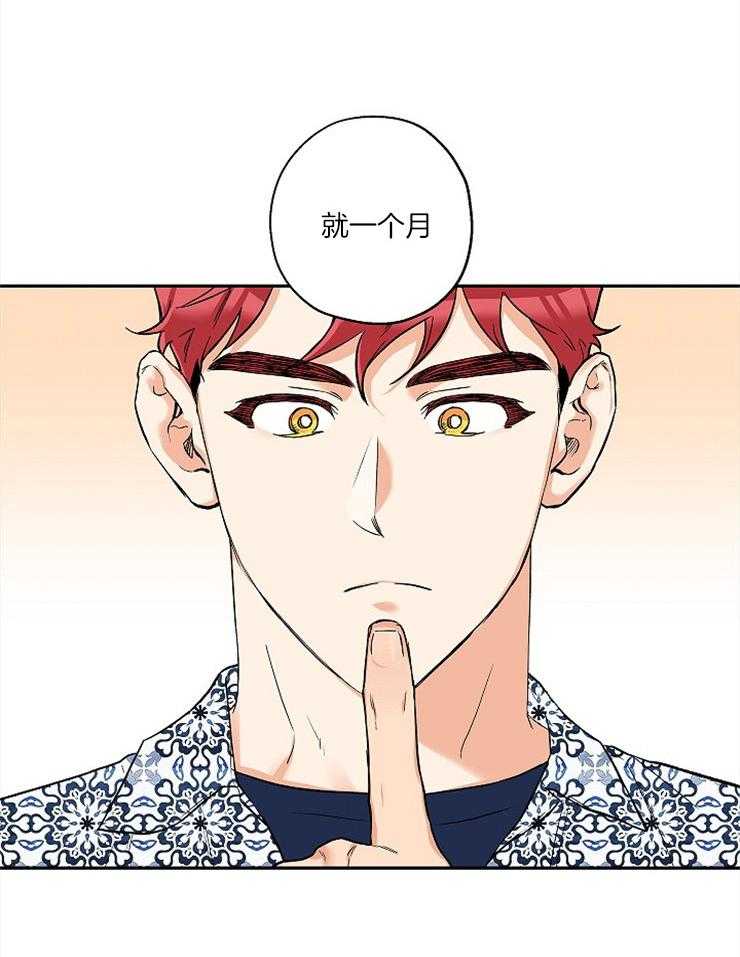 《蠢狼抱枕饲养录》第56话 恋爱1个月 第19页