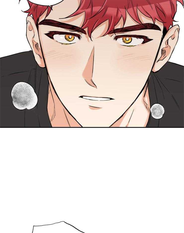 《蠢狼抱枕饲养录》第48话 希望你们结婚 第4页