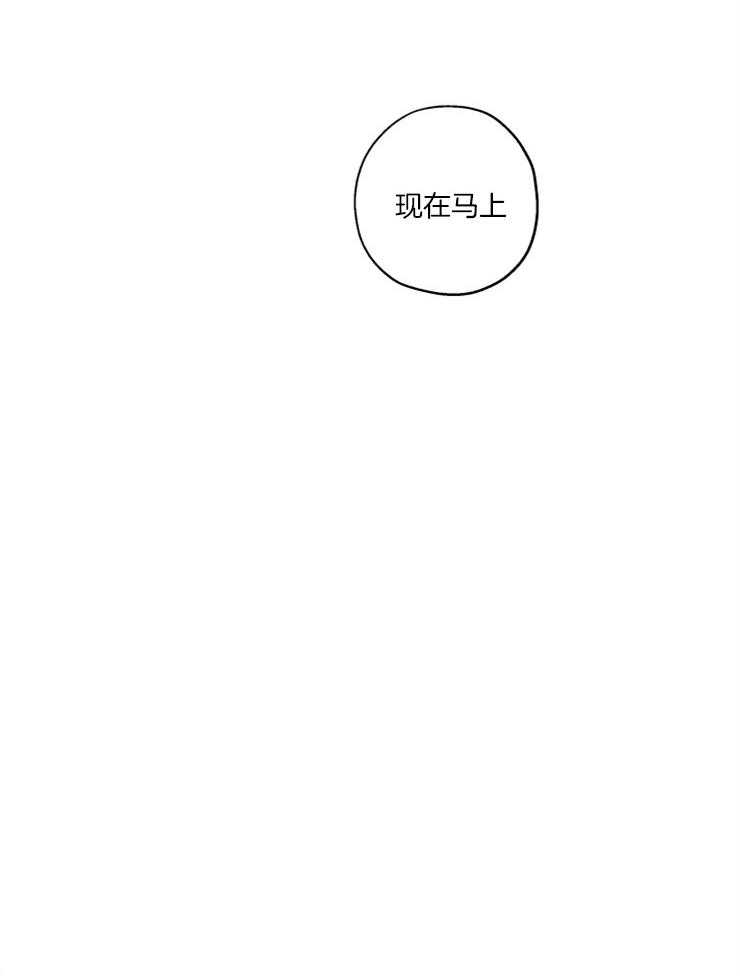 《蠢狼抱枕饲养录》第41话 迫不及待 第26页