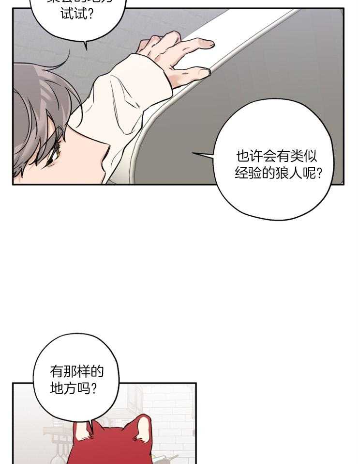 《蠢狼抱枕饲养录》第40话 目标是你 第17页