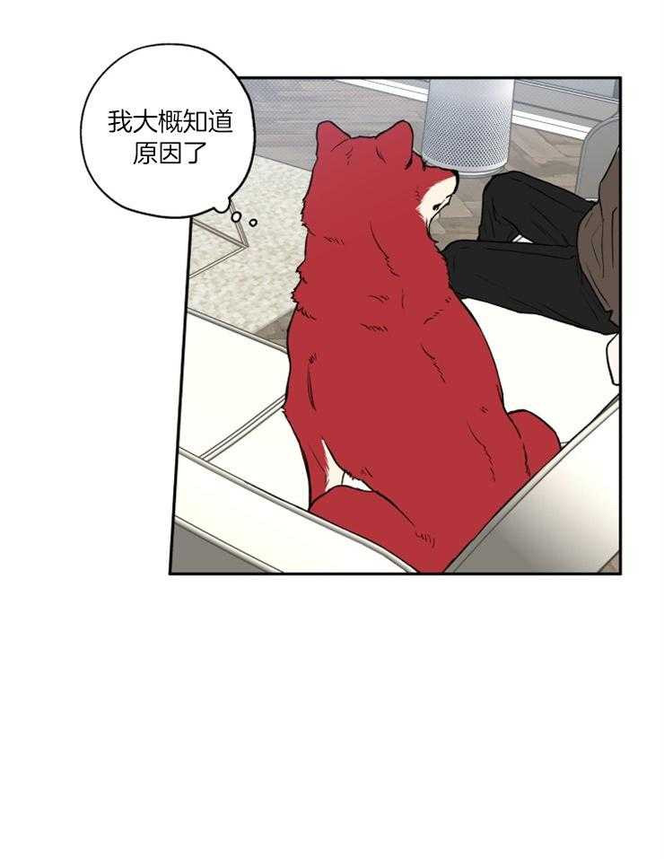 《蠢狼抱枕饲养录》第40话 目标是你 第20页