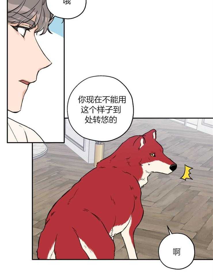 《蠢狼抱枕饲养录》第40话 目标是你 第23页