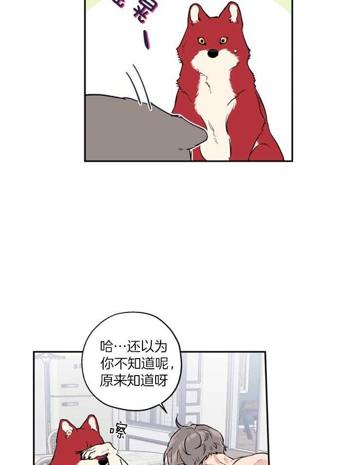 《蠢狼抱枕饲养录》第40话 目标是你 第3页