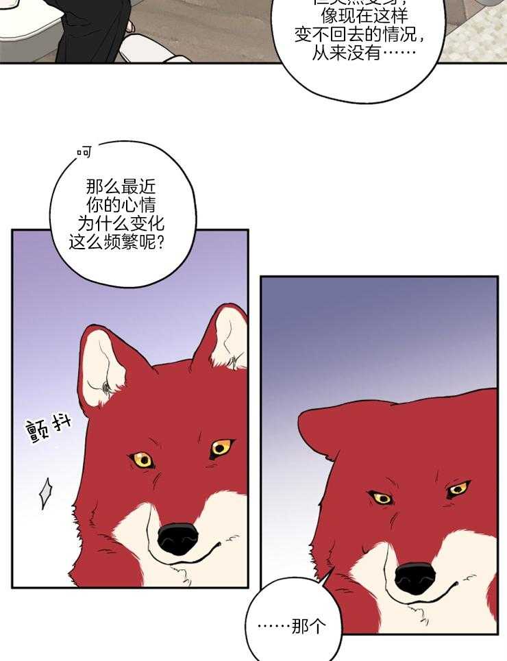 《蠢狼抱枕饲养录》第39话 和我试试 第13页