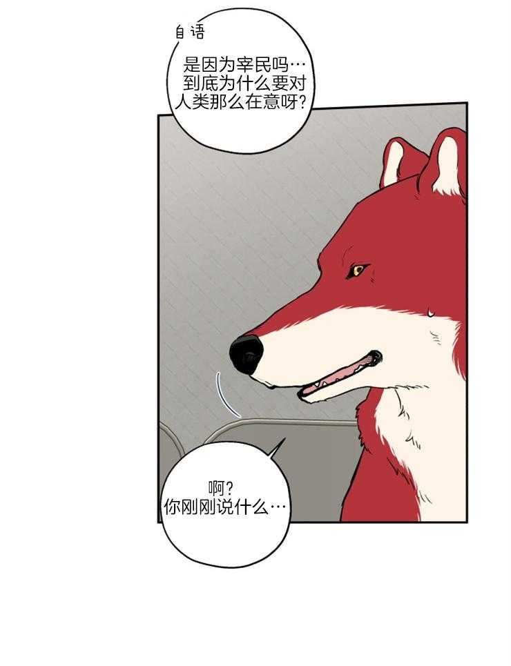 《蠢狼抱枕饲养录》第39话 和我试试 第15页