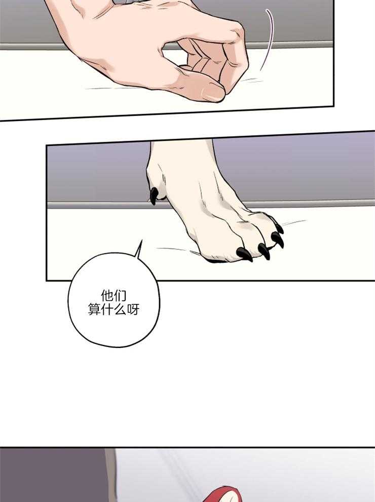 《蠢狼抱枕饲养录》第39话 和我试试 第19页