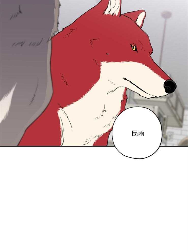 《蠢狼抱枕饲养录》第39话 和我试试 第20页