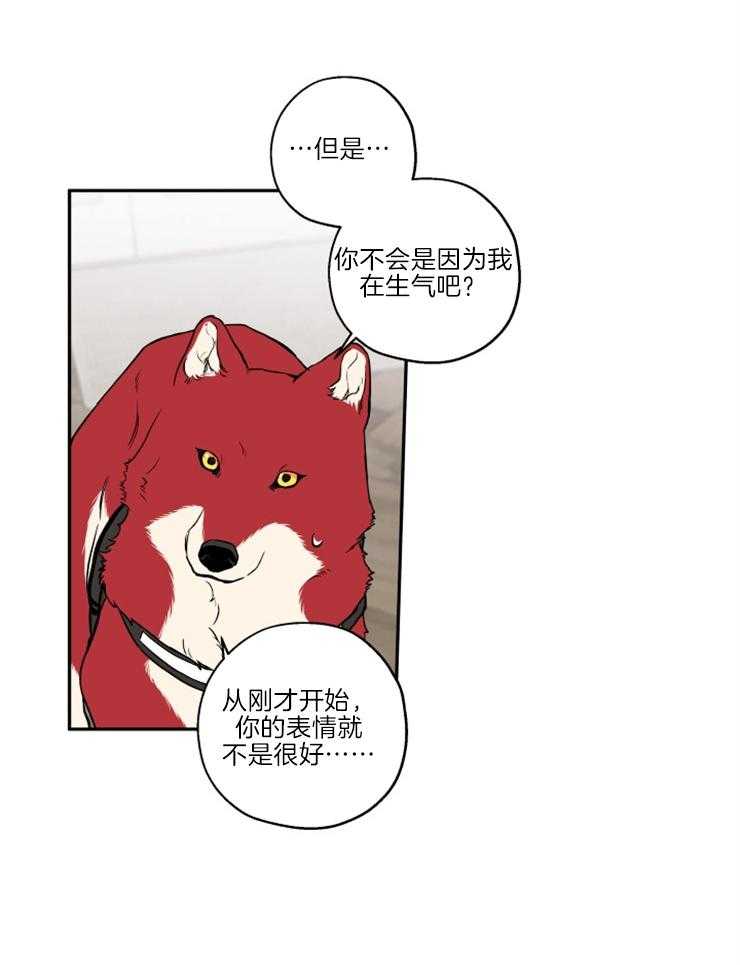 《蠢狼抱枕饲养录》第39话 和我试试 第4页