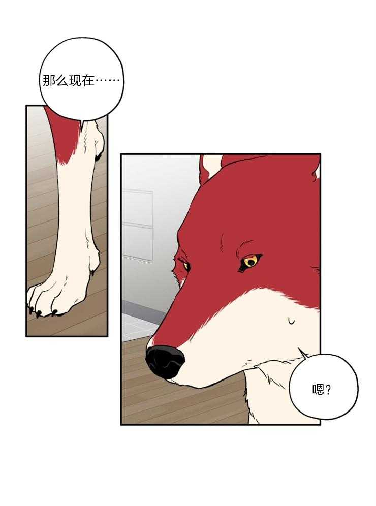 《蠢狼抱枕饲养录》第38话 送上门 第15页