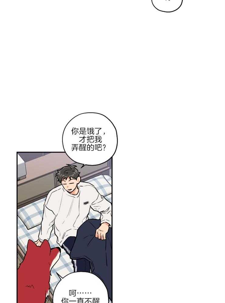 《蠢狼抱枕饲养录》第38话 送上门 第9页