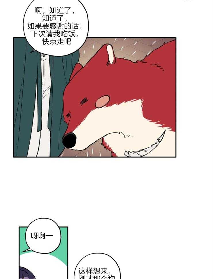 《蠢狼抱枕饲养录》第36话 撒泼打滚 第10页