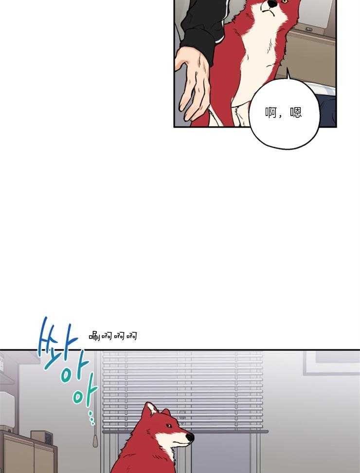 《蠢狼抱枕饲养录》第36话 撒泼打滚 第18页