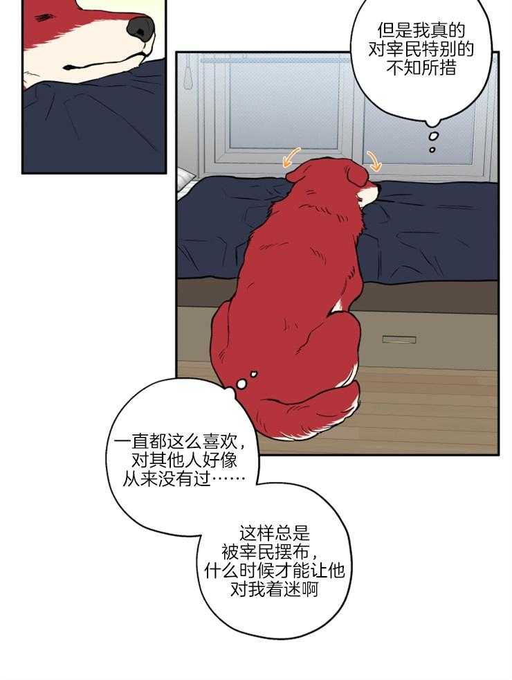 《蠢狼抱枕饲养录》第36话 撒泼打滚 第20页