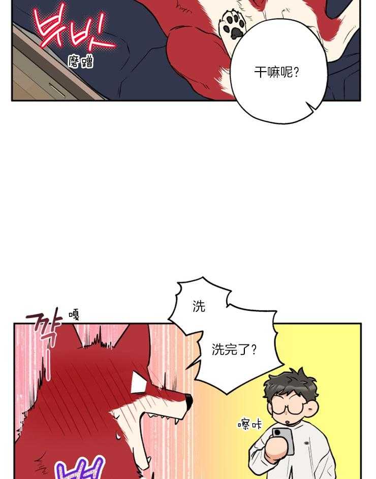 《蠢狼抱枕饲养录》第36话 撒泼打滚 第25页