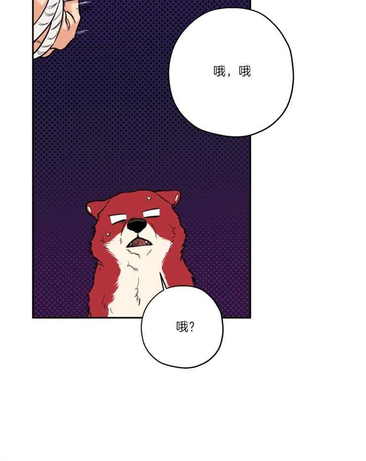 《蠢狼抱枕饲养录》第35话 被拍照了 第11页