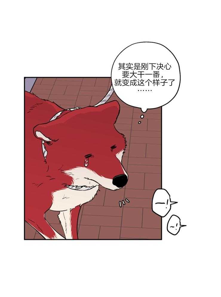 《蠢狼抱枕饲养录》第35话 被拍照了 第13页