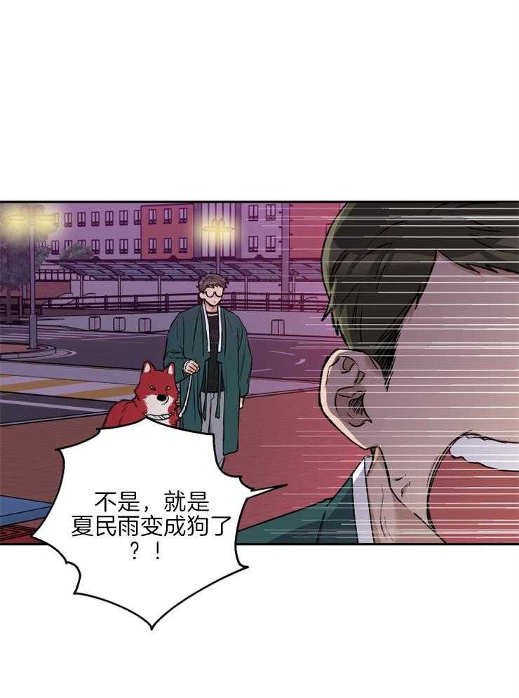 《蠢狼抱枕饲养录》第35话 被拍照了 第14页