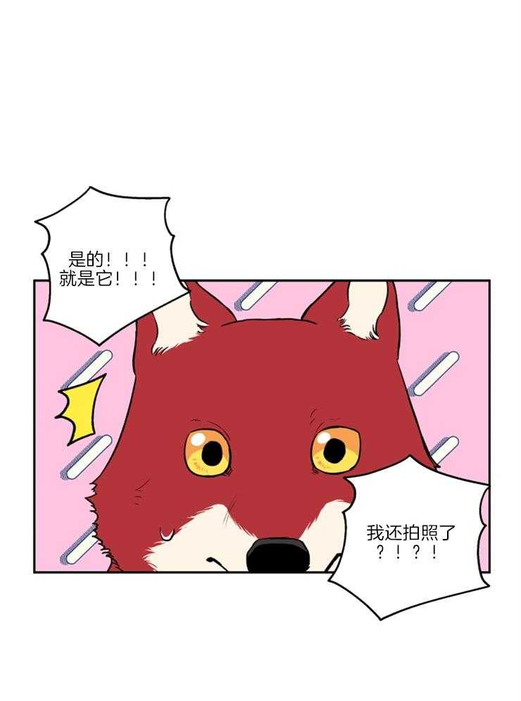 《蠢狼抱枕饲养录》第35话 被拍照了 第17页