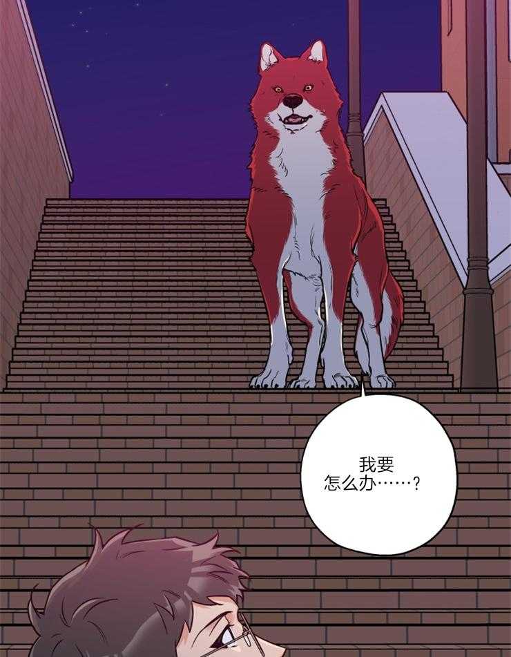 《蠢狼抱枕饲养录》第34话 维持现状 第19页