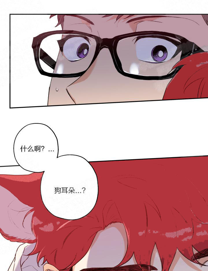 《蠢狼抱枕饲养录》第14话 14_耳朵露出来了 第16页