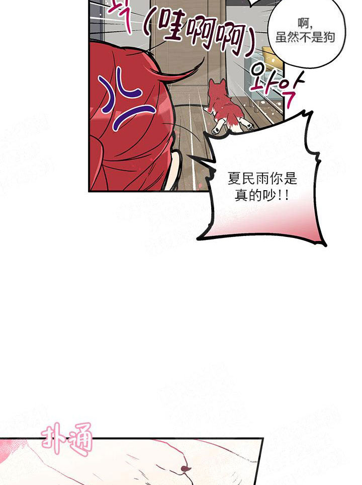 《蠢狼抱枕饲养录》第4话 4_发现端倪 第14页