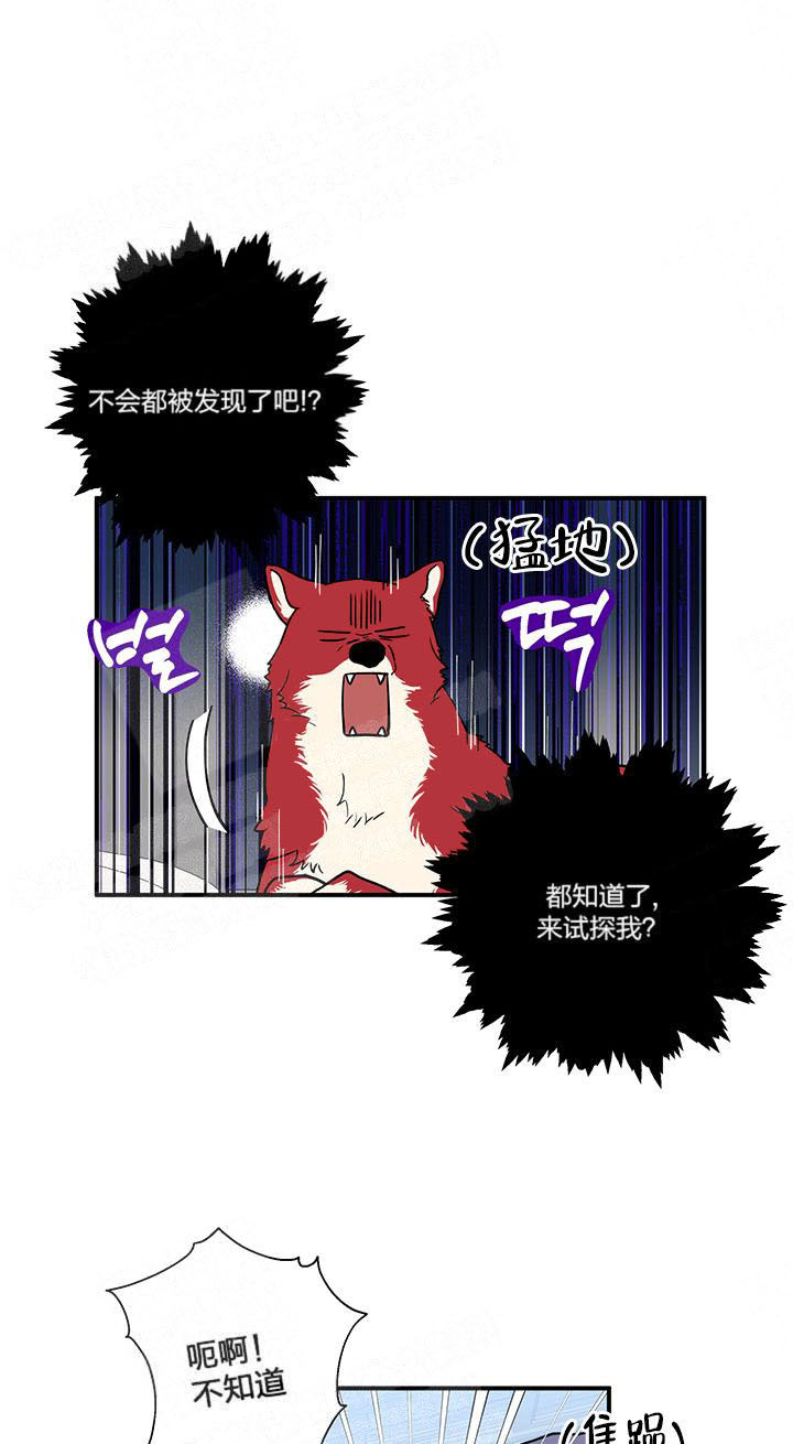 《蠢狼抱枕饲养录》第4话 4_发现端倪 第9页