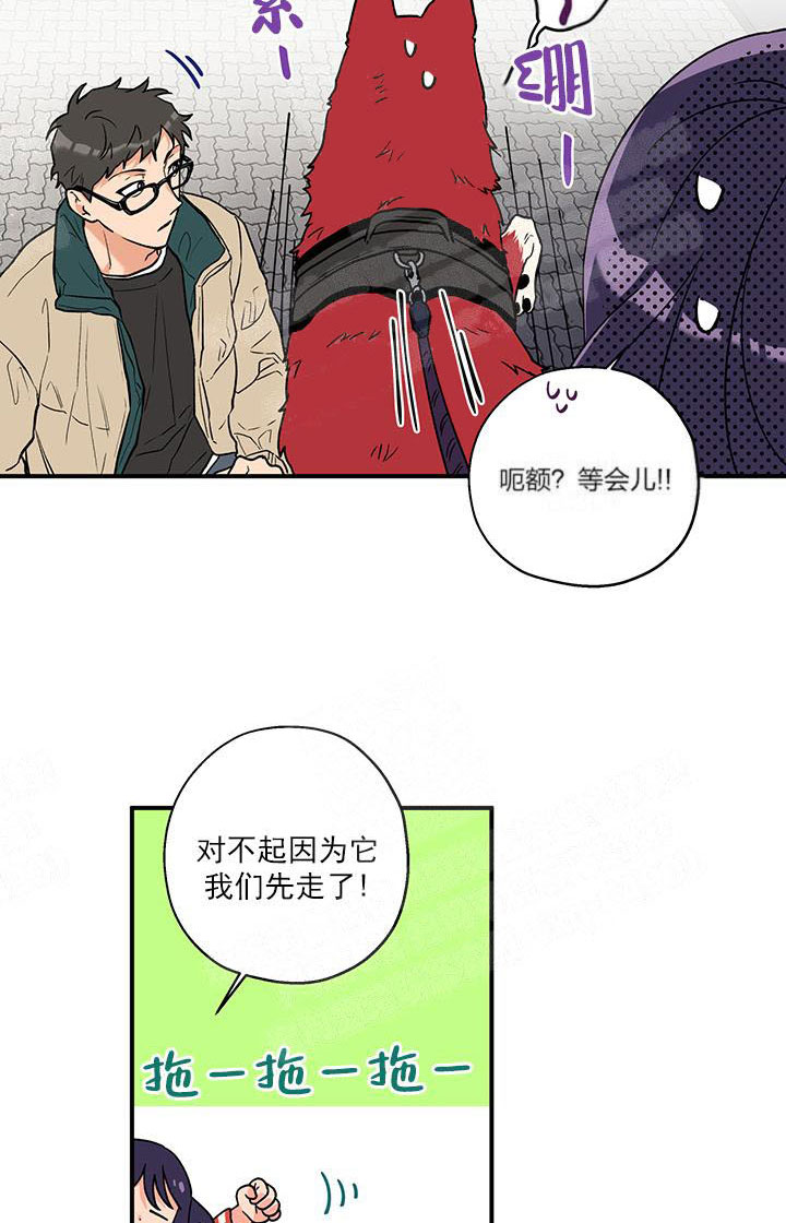 《蠢狼抱枕饲养录》第3话 3_这狗真帅 第11页