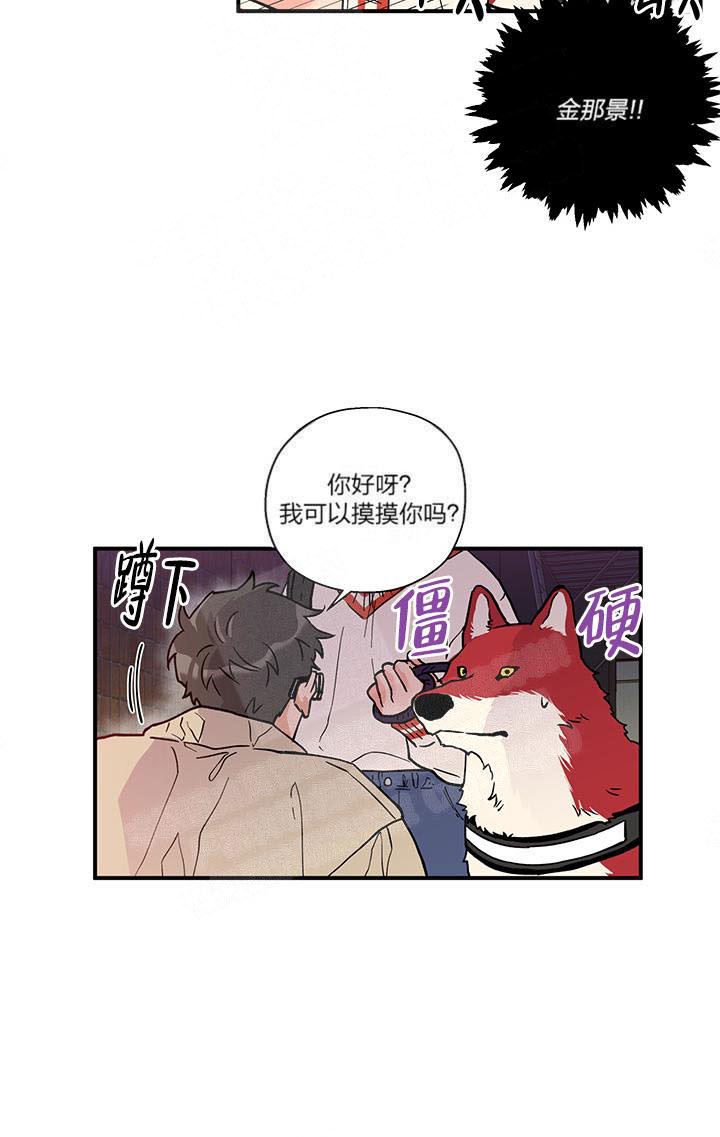 《蠢狼抱枕饲养录》第3话 3_这狗真帅 第6页