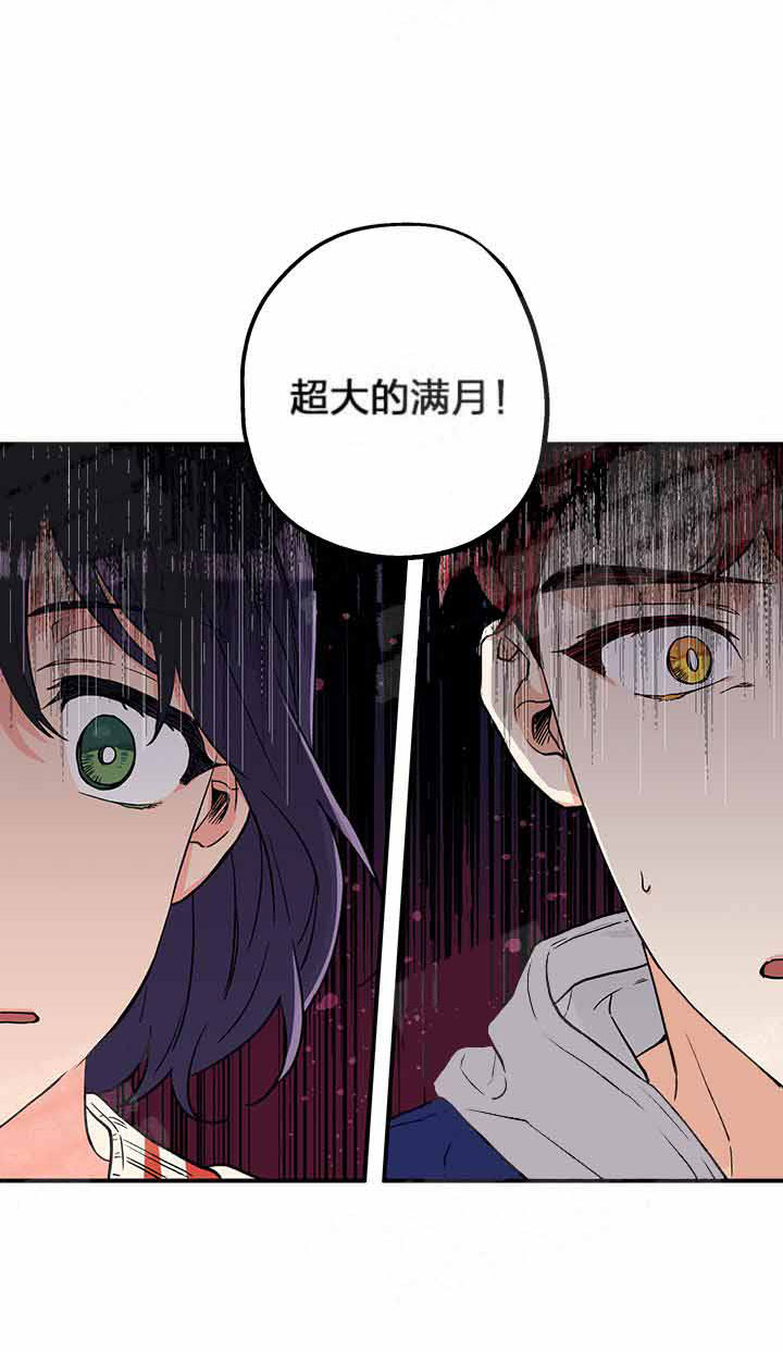 《蠢狼抱枕饲养录》第2话 2_满月来了 第10页