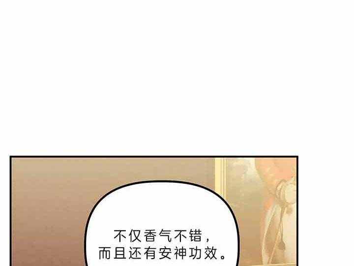《炮灰的救妹计划》第55话 再次中枪 第41页