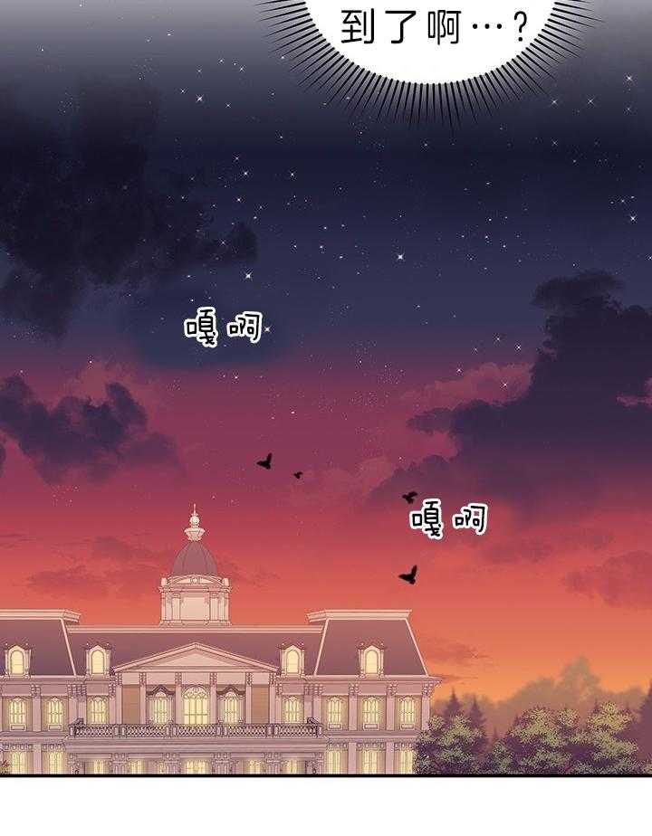《炮灰的救妹计划》第77话 机会 第33页