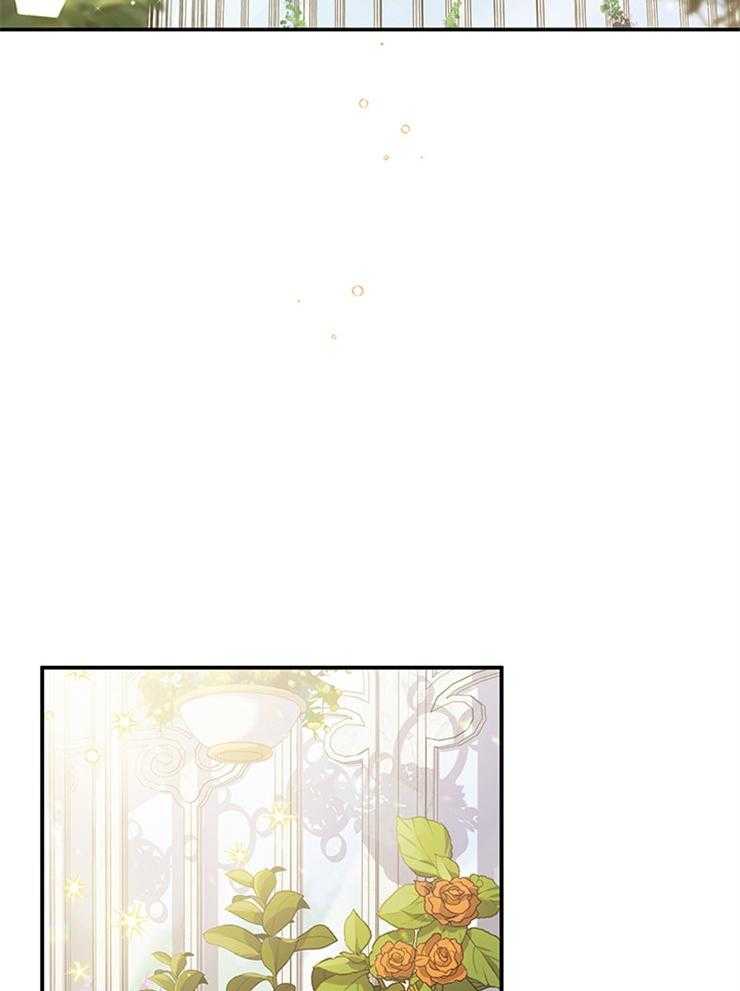 《炮灰的救妹计划》第98话 舞会的手段 第3页