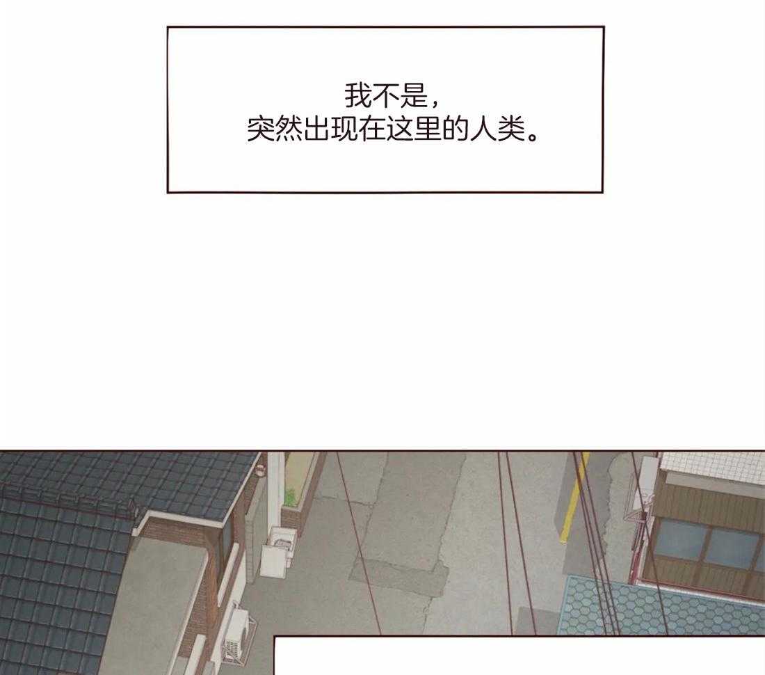 《山鬼效灵（共2季）》第130话 幻的领域 第6页