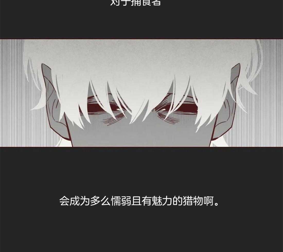 《山鬼效灵（共2季）》第90话 被猎食 第38页