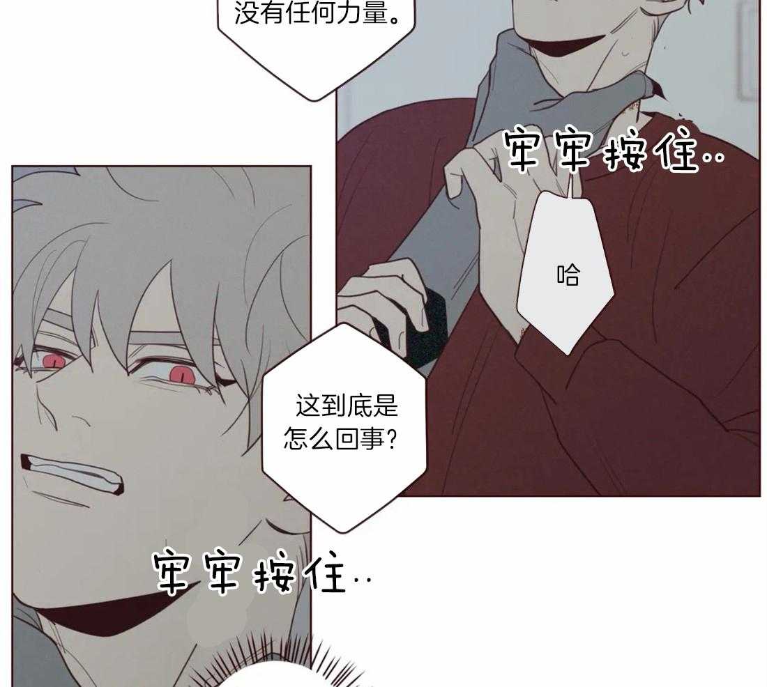 《山鬼效灵（共2季）》第51话 不堪一击 第12页