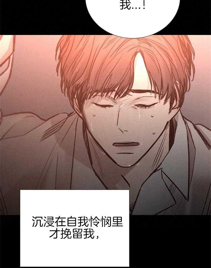 《企图深陷》第134话 对不起 第14页