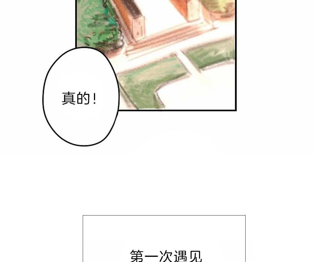 《欢乐的肖像》第9话 画画天才 第3页