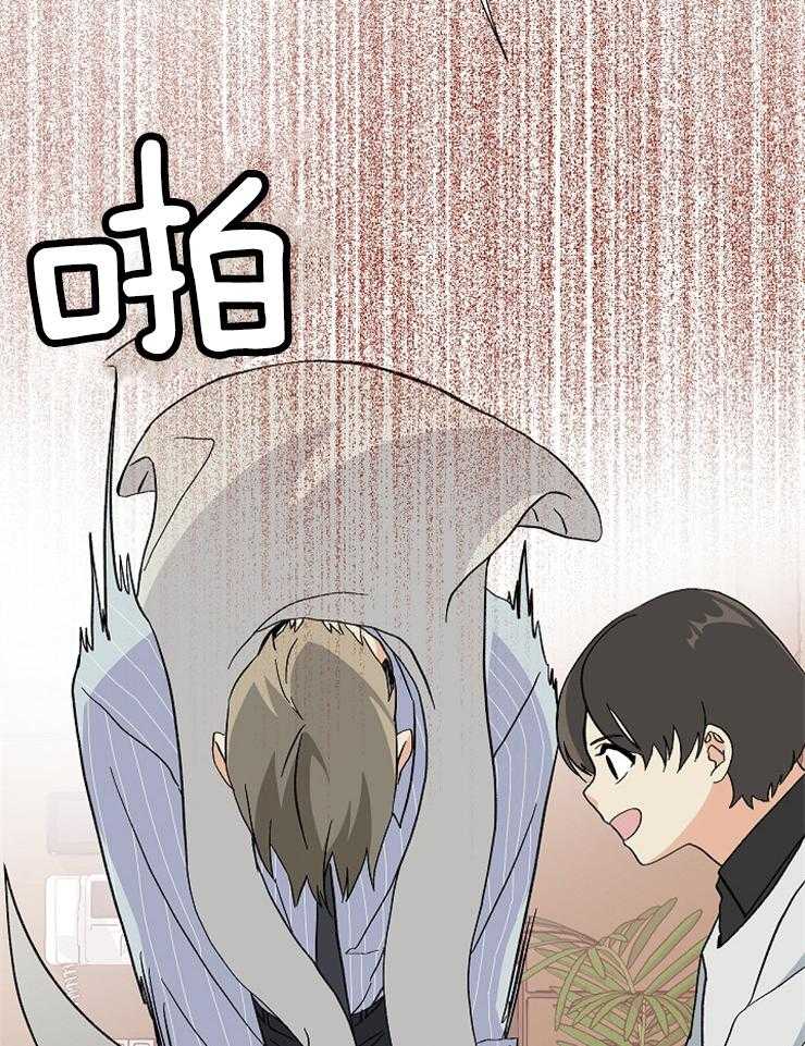《和前男友结婚》第1话 结婚综艺 第37页