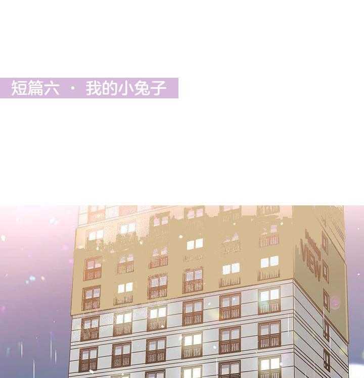 《突袭奇妙玩具》第19话 我的小兔子 第1页